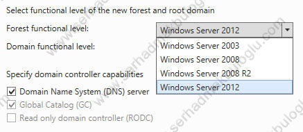 Windows Server 2012 Domain & Forest Functional Level