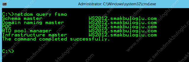 Windows Server 2012 Flexible Single Master Operations (FSMO) Rol Transferi